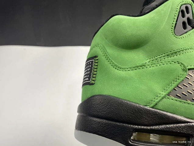 Chep Onekick Jordan Air Ducks Oregon SE 5 CK6631-307 0731